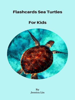 Flashcards Sea Turtles For Kids - ebook